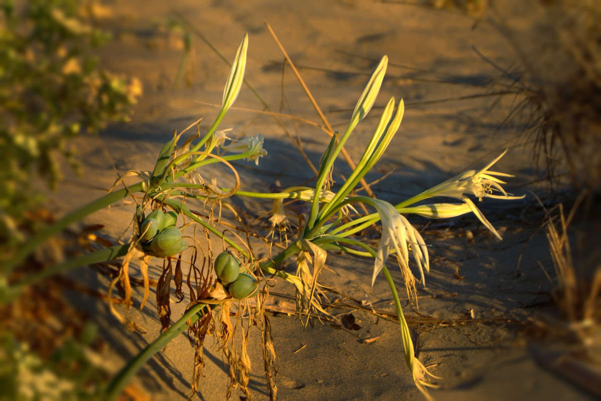 ... ����� nastassia  �� PhotoGeek.ru #����� ��������������