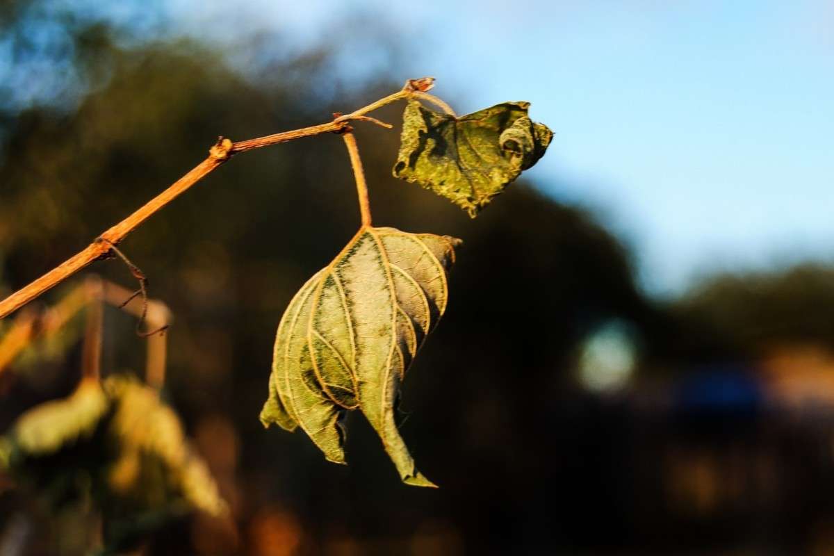 ... ����� nastassia  �� PhotoGeek.ru #����� ��������������