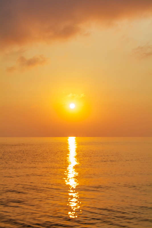 ... ����� nastassia  �� PhotoGeek.ru #������ ��� �������