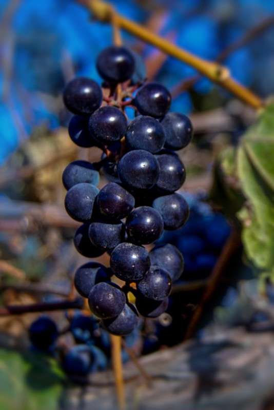 ... ����� nastassia  �� PhotoGeek.ru #����� ��������������