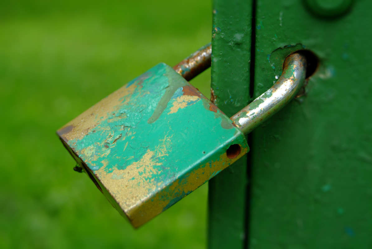 ... ����� nastassia  �� PhotoGeek.ru #������