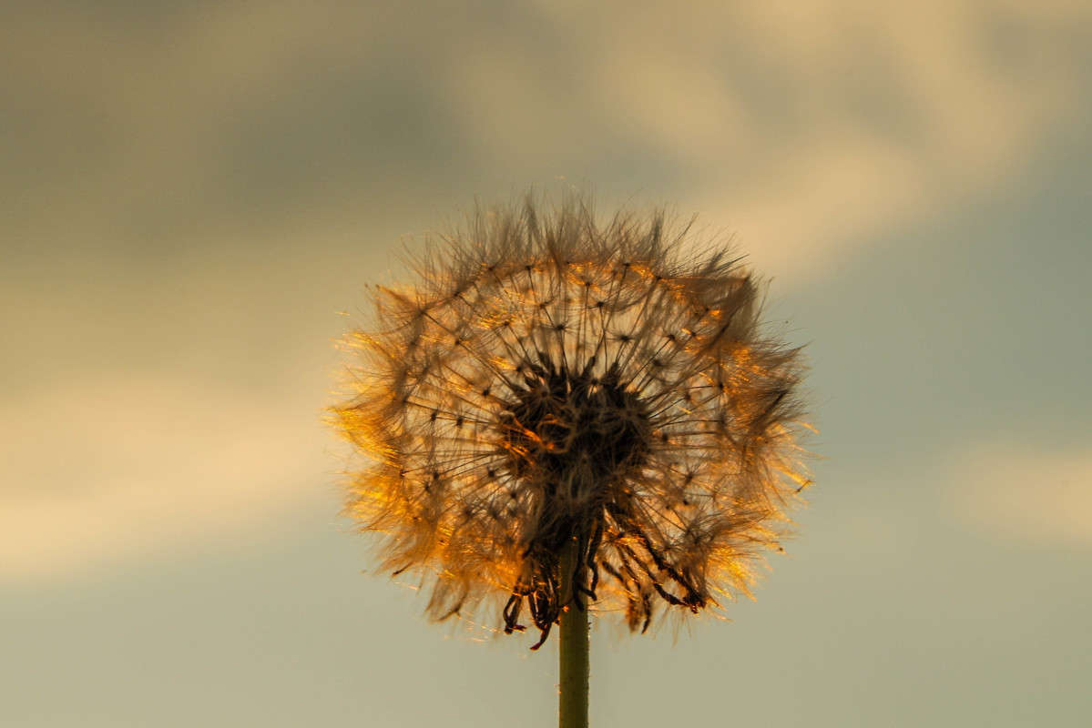 ... ����� nastassia  �� PhotoGeek.ru #����� ��������������