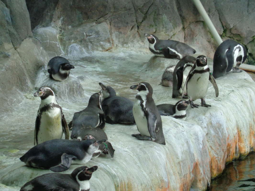 �������� ����� ������  �� PhotoGeek.ru #�������� ���