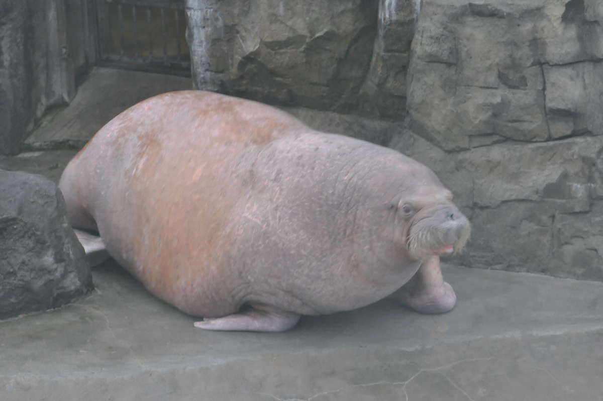 ���� ����� ������  �� PhotoGeek.ru #�������� ���