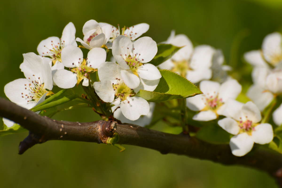 ����� ����� ������� ������ �� PhotoGeek.ru #������ ��� �������