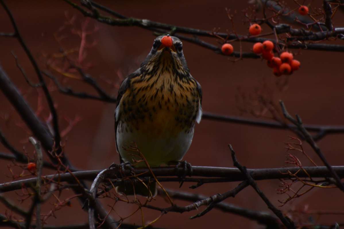 �������� ��� ����� ������� ������ �� PhotoGeek.ru #���� ����������! ������ ������.