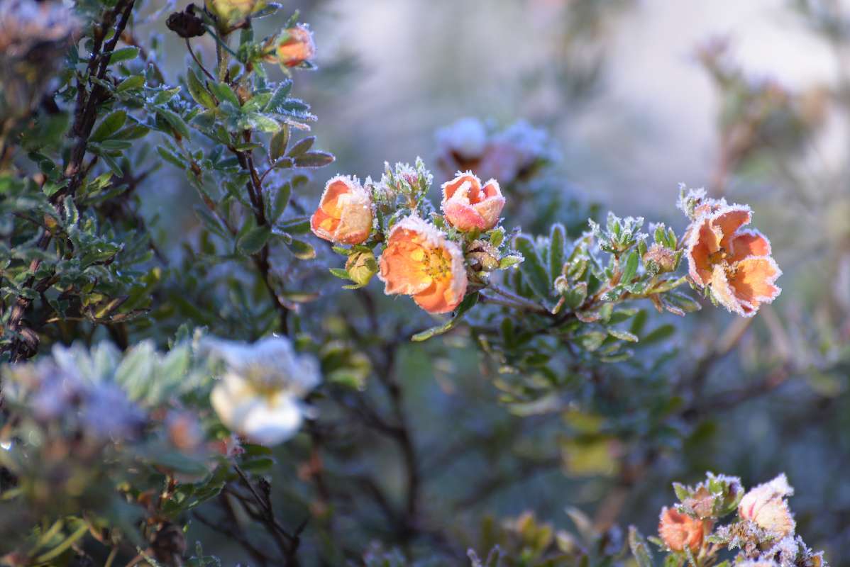 ������ ��� ������� ����� ������� ������ �� PhotoGeek.ru #������ ���������.