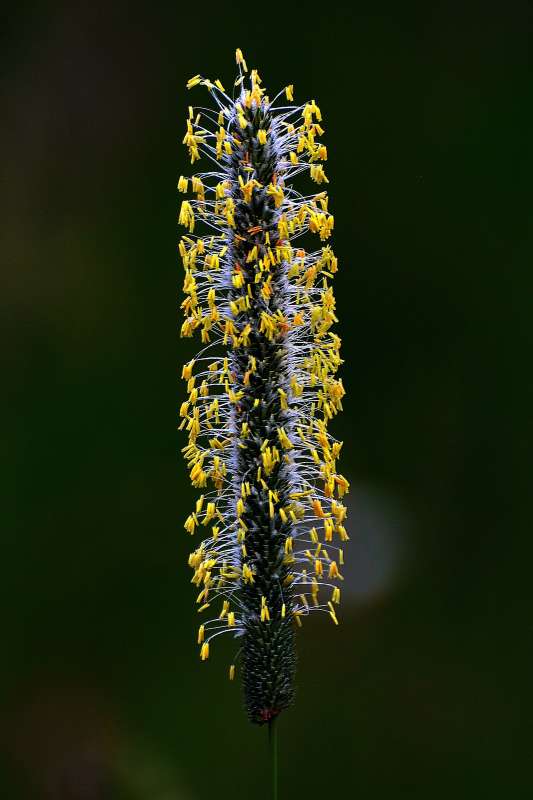 ������ ��� ������� ����� ������� ������ �� PhotoGeek.ru #������ ��� �������