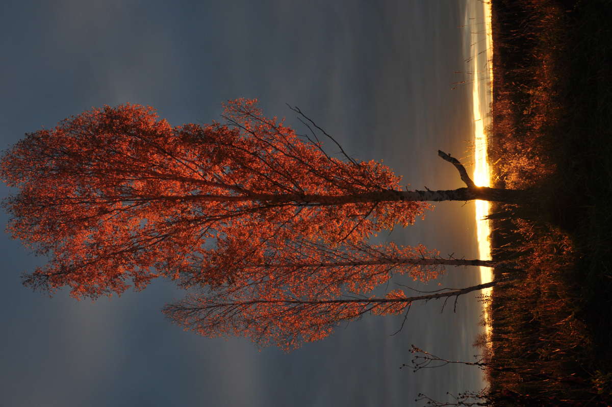 ������ ��� ������� ����� ������� ������ �� PhotoGeek.ru #������� ��� ������.