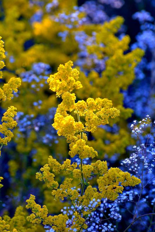 ������ ��� ������� ����� ������� ������ �� PhotoGeek.ru #����������� ���������