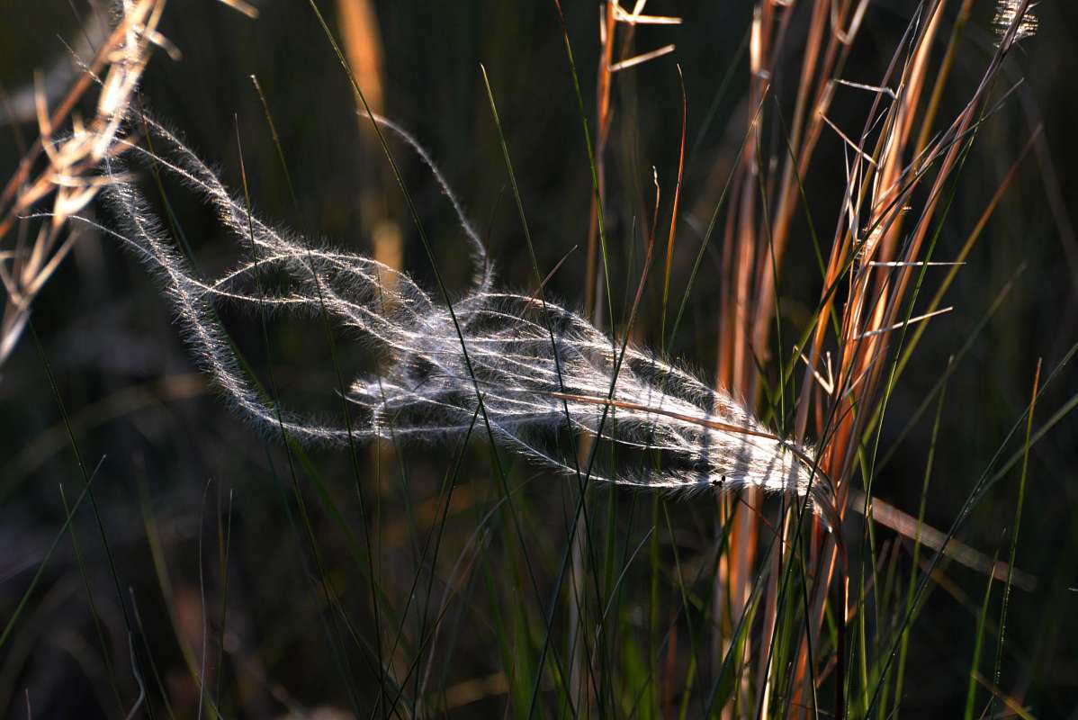 ������ ��� ������� ����� ������� ������ �� PhotoGeek.ru #�������� � �����.