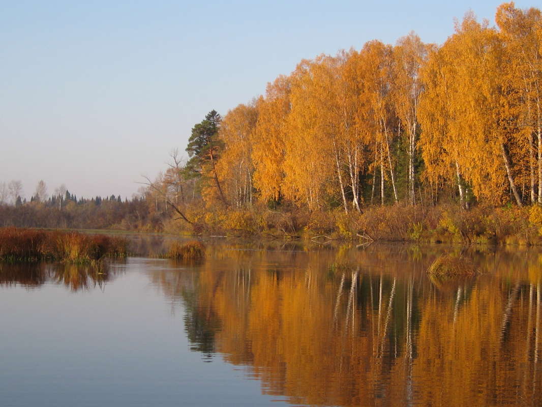 ������ ��� ������� ����� ������� ������ �� PhotoGeek.ru #���� �� ������ �����!.