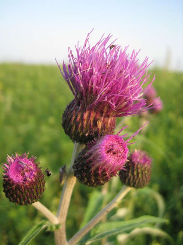 ������ ��� ������� ����� ������� ������ �� PhotoGeek.ru #������� �����.