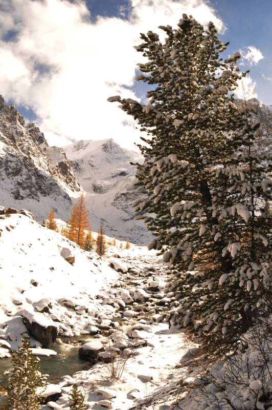 ������ ��� ������� ����� ������� ������ �� PhotoGeek.ru #�����- �����