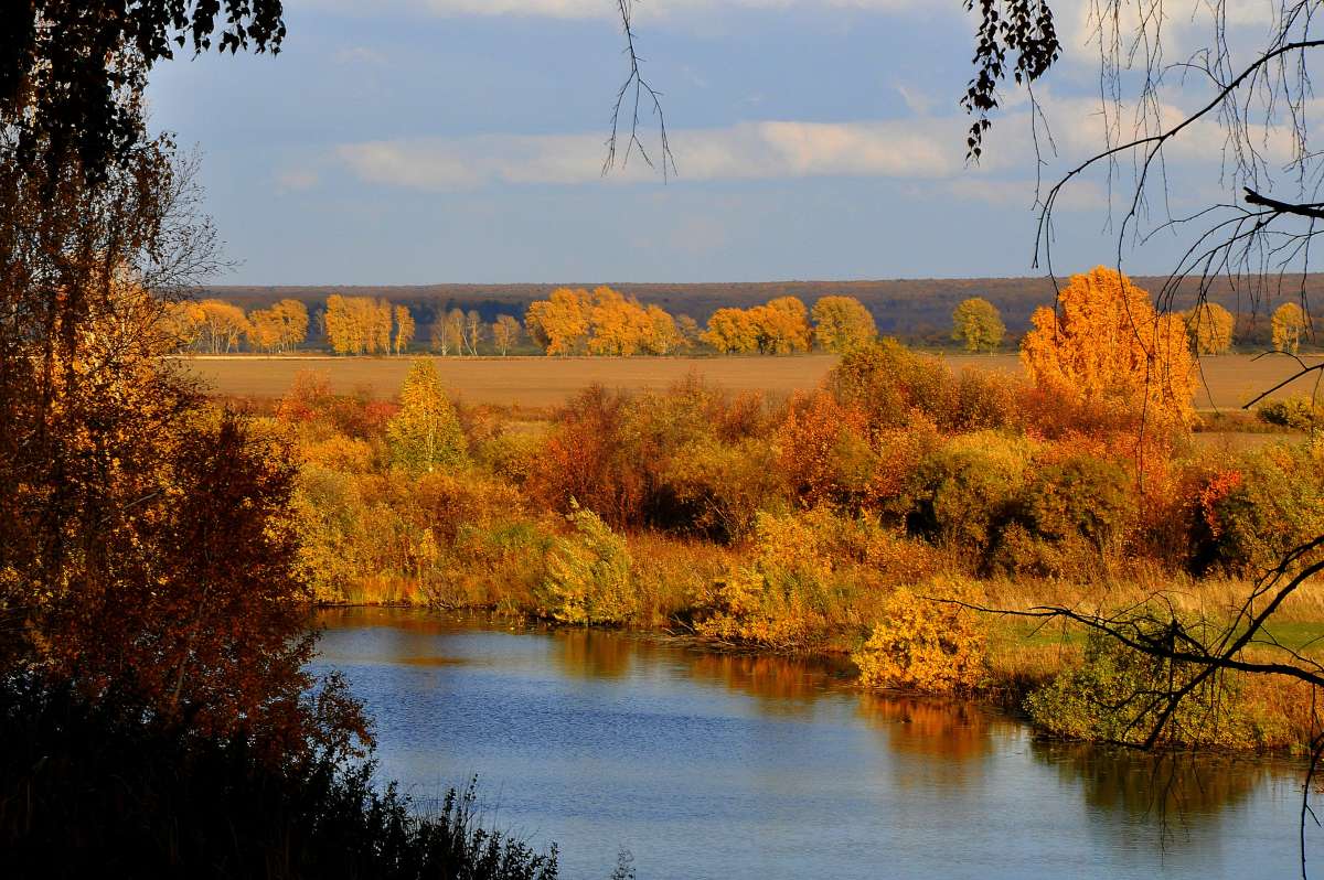 ������ ��� ������� ����� ������� ������ �� PhotoGeek.ru