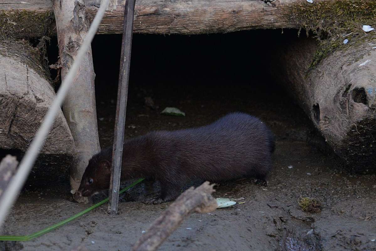 �������� ��� ����� ������� ������ �� PhotoGeek.ru #���� ����