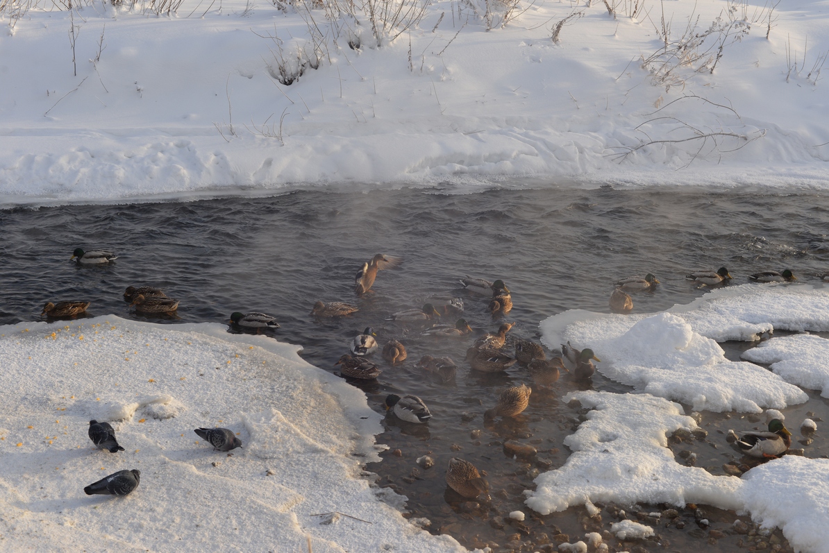 �������� ��� ����� ������� ������ �� PhotoGeek.ru #�������.