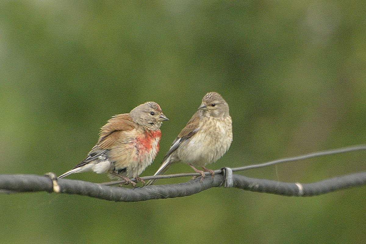 �������� ��� ����� ������� ������ �� PhotoGeek.ru #������ ����� #�� �� �������