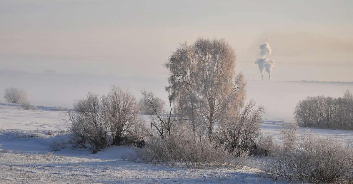 Морозное утро ! автор Николай Иванов на PhotoGeek.ru #Пейзаж или природа