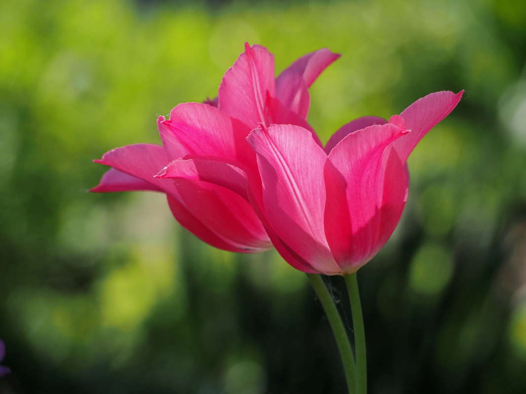 ������� ����� �������  �� PhotoGeek.ru #������ ��� �������