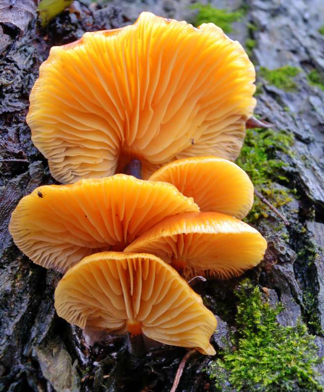 ������ ����� ����� �������  �� PhotoGeek.ru #������ ��� �������