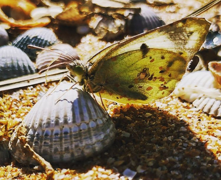 �� ������� ����� ������� ������ �� PhotoGeek.ru #������ ��� �������