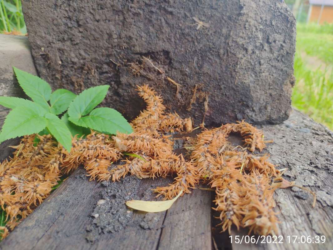 �� ����. ����� ������� ������ �� PhotoGeek.ru #������ ��� �������