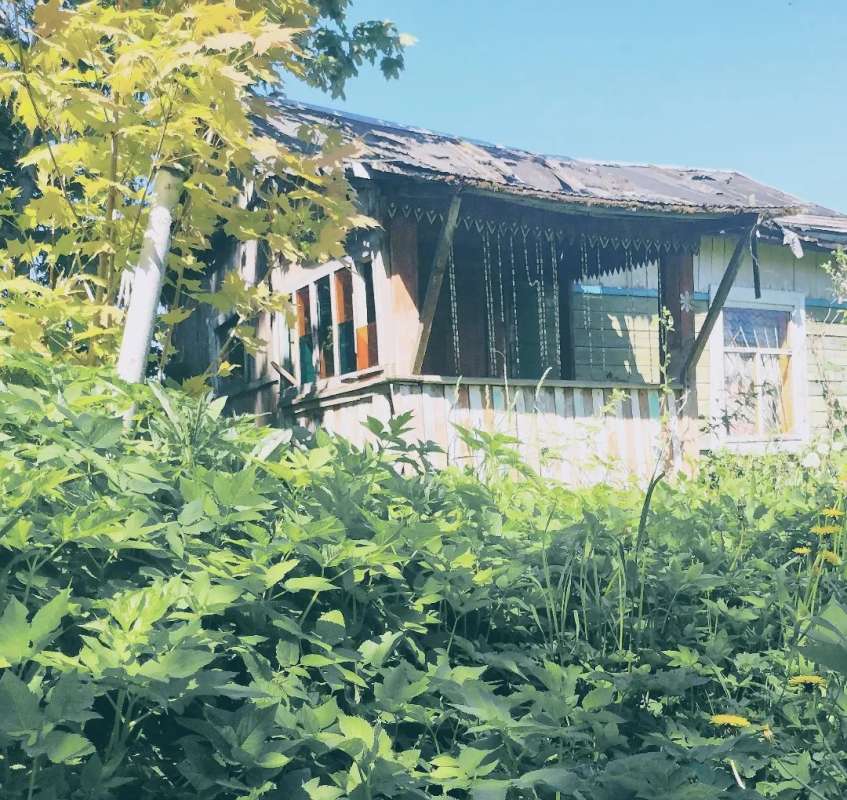 ������ ����� ����� ������� ������ �� PhotoGeek.ru #������ ��� �������