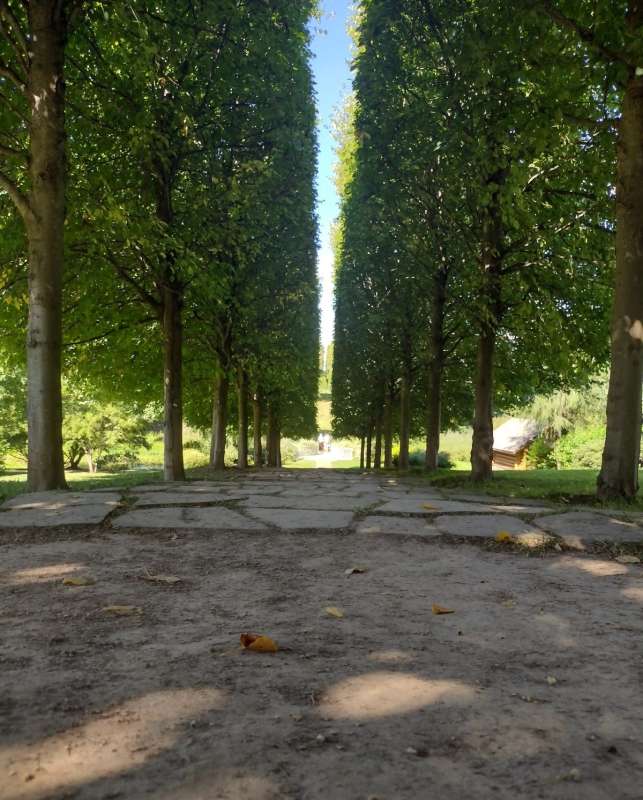 ����-������� �������� ����� ������� ������ �� PhotoGeek.ru #������ ��� �������