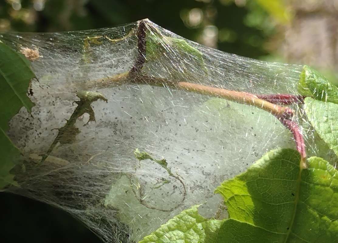 ������� ����� ������� ������ �� PhotoGeek.ru #������ ��� �������