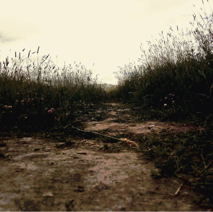 �������� ����� ������� ������ �� PhotoGeek.ru #������ ��� �������