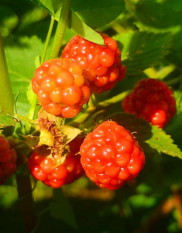 ������� ����� ������� ������ �� PhotoGeek.ru #������ ��� �������