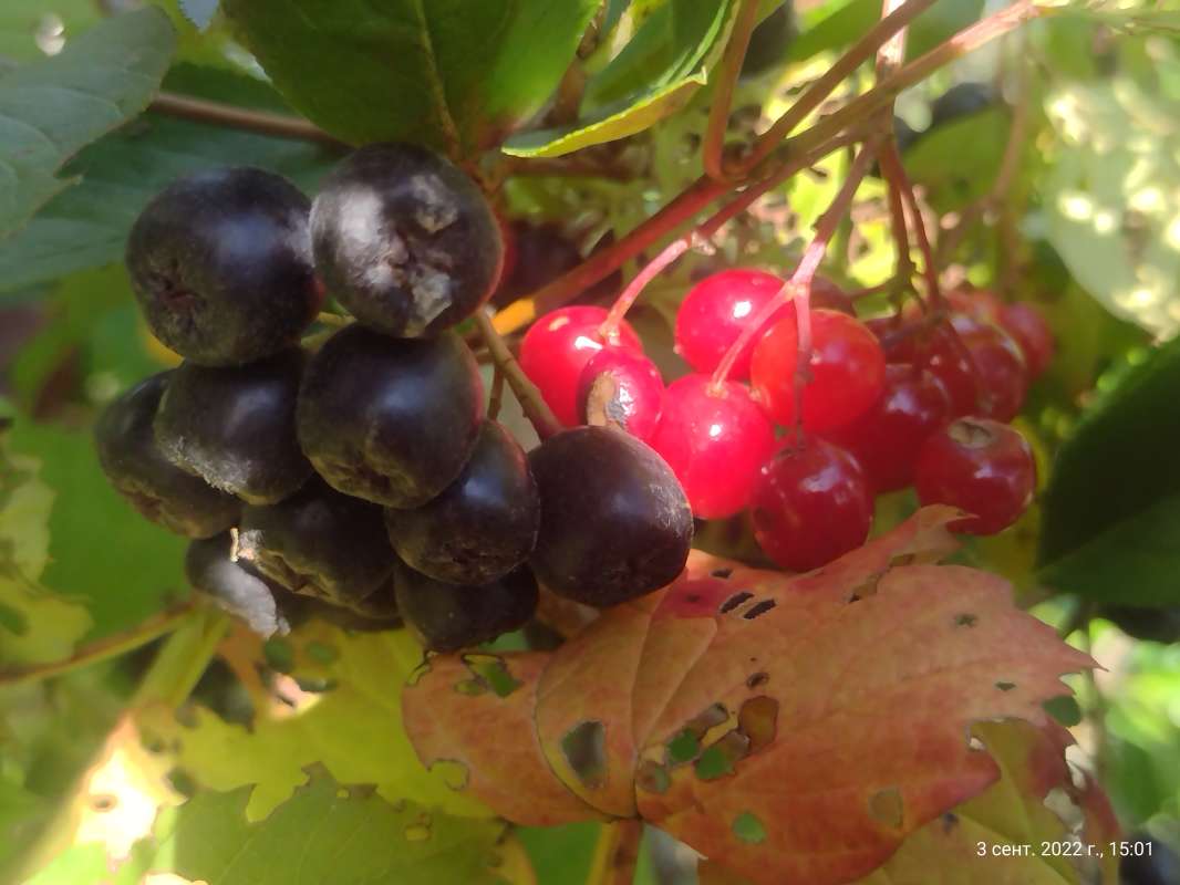 ����������� � ������� ����� ������� ������ �� PhotoGeek.ru #������ ��� ������� #����� ��������������