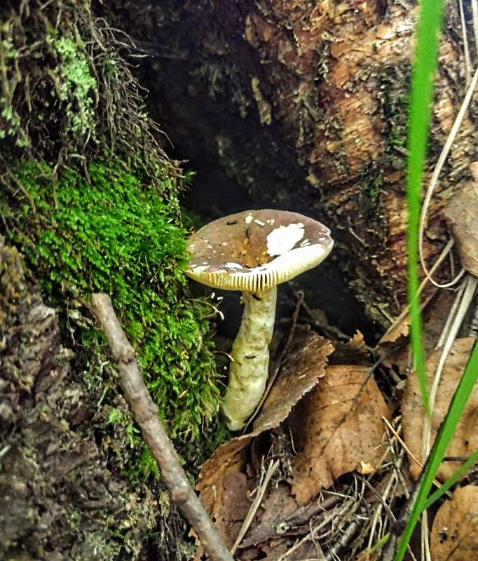 ��������� ����� ������� ������ �� PhotoGeek.ru #������ ��� �������