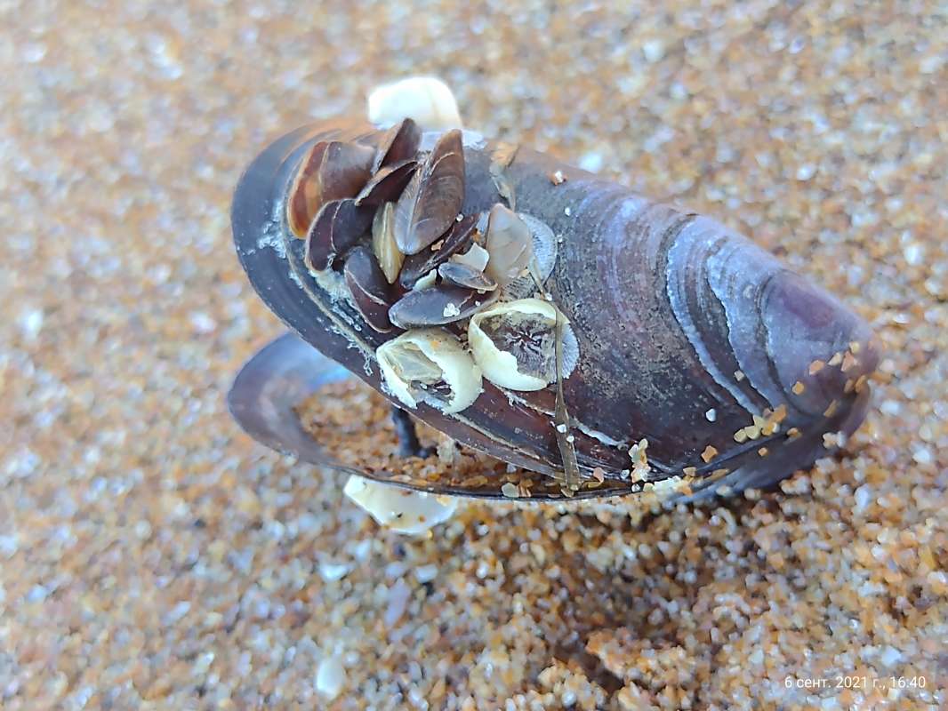 ������� ����� ������� ������ �� PhotoGeek.ru #������ ��� �������