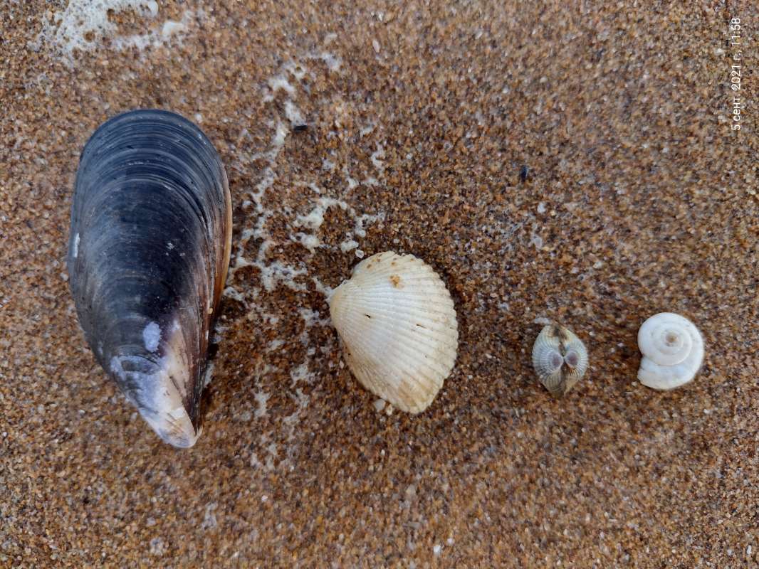 ... ����� ������� ������ �� PhotoGeek.ru #������ ��� �������