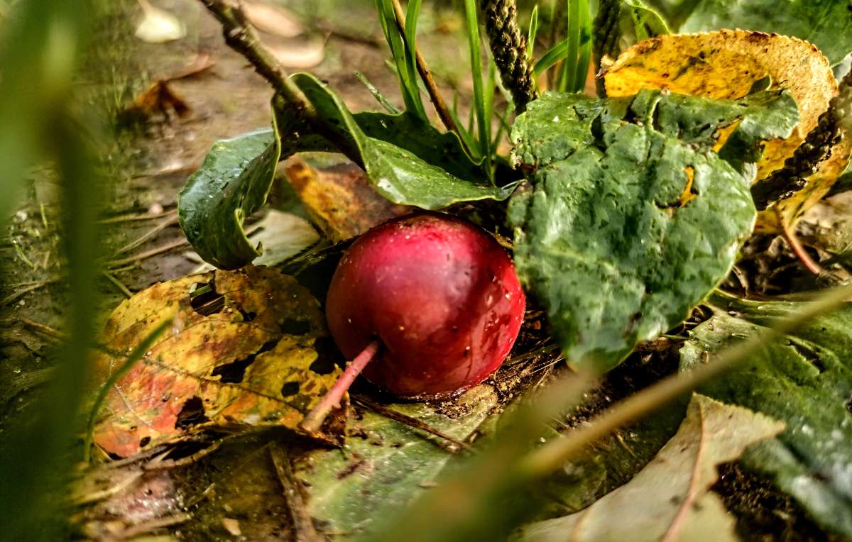 ����������) ����� ������� ������ �� PhotoGeek.ru #������ ��� �������