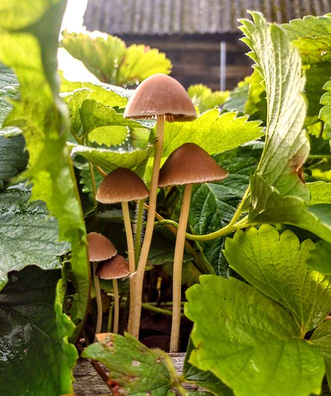 ��������� ������� � ��������) ����� ������� ������ �� PhotoGeek.ru #������ ��� �������