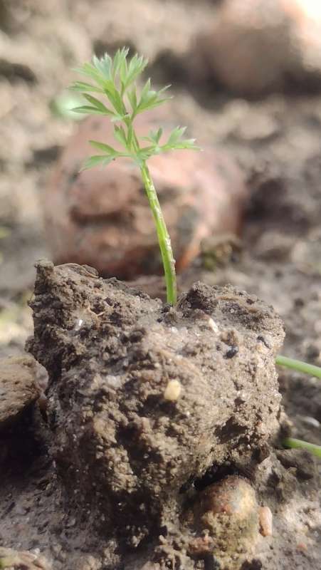 ������� �����... ����� ������� ������ �� PhotoGeek.ru #������ ��� �������