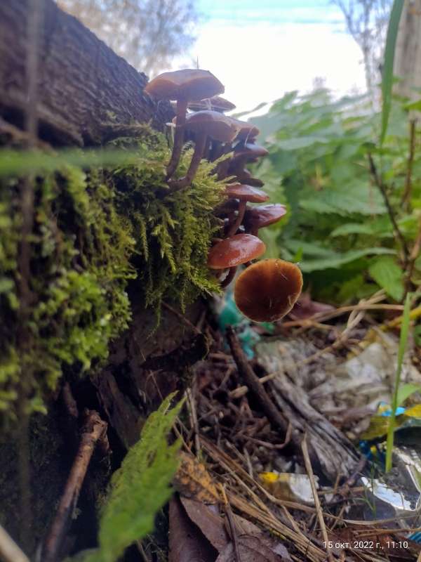 �������.. ����� ������� ������ �� PhotoGeek.ru #������ ��� �������