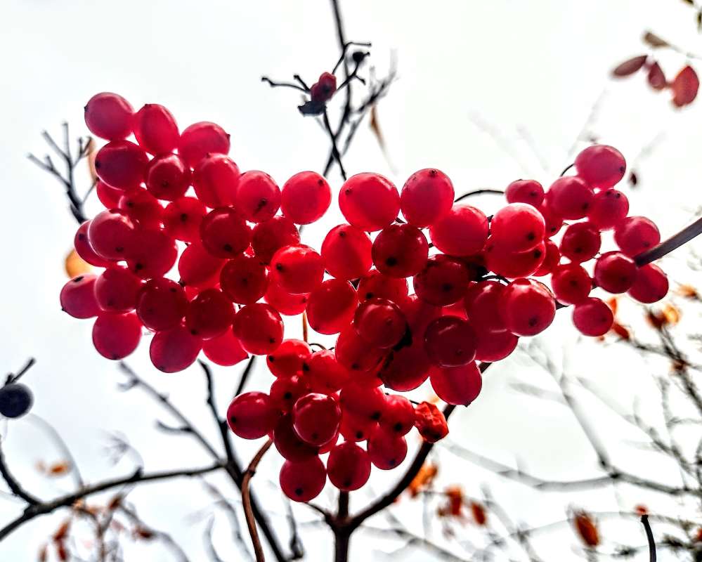 ������... ����� ������� ������ �� PhotoGeek.ru #������ ��� �������