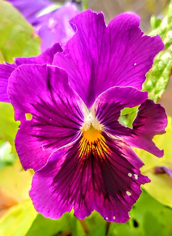 ������ ��������) ����� ������� ������ �� PhotoGeek.ru #������ ��� �������