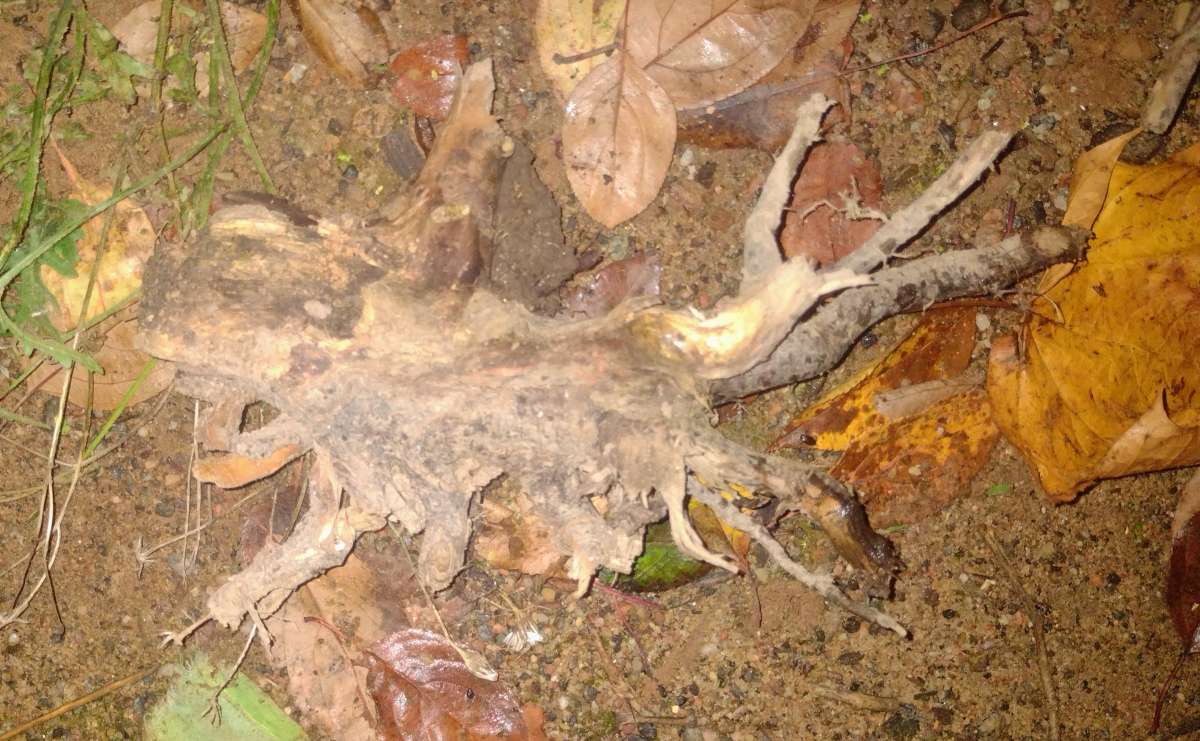 �����.. ����� ������� ������ �� PhotoGeek.ru #������ ��� �������