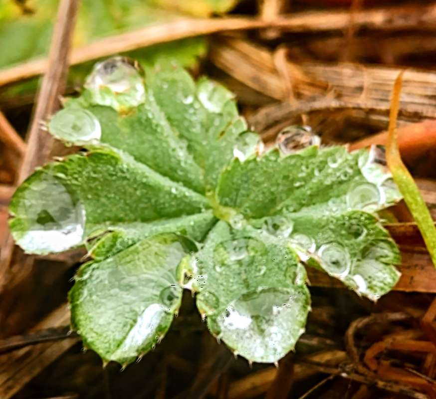 ��������.. ����� ������� ������ �� PhotoGeek.ru #����� #������ ��� �������