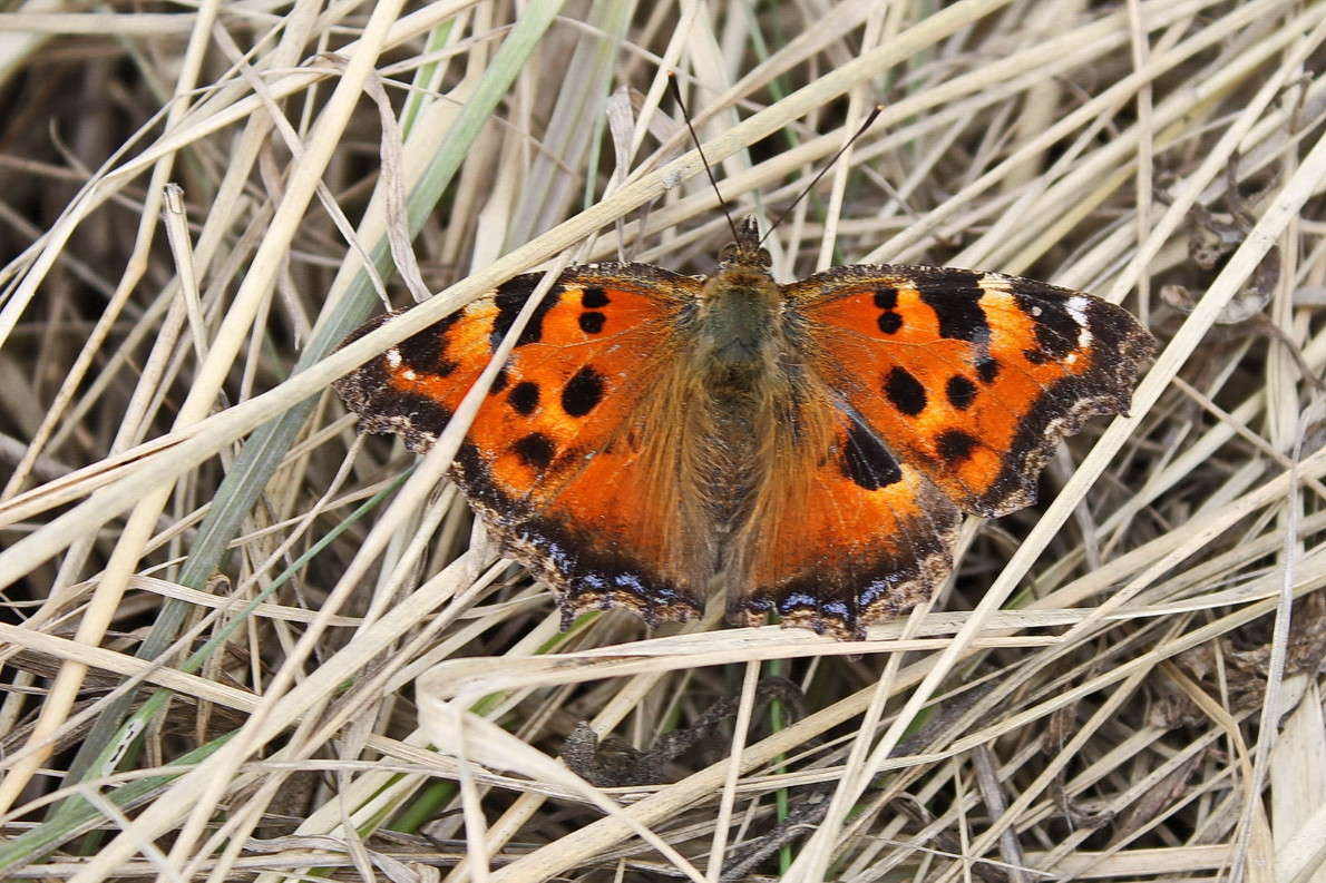 ������������ ����� ������� ������� �� PhotoGeek.ru #������ ��� �������