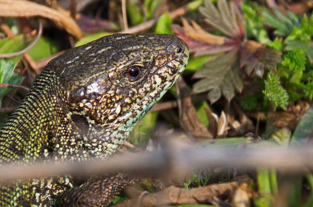 ... ����� ������� ������� �� PhotoGeek.ru #�������� ���