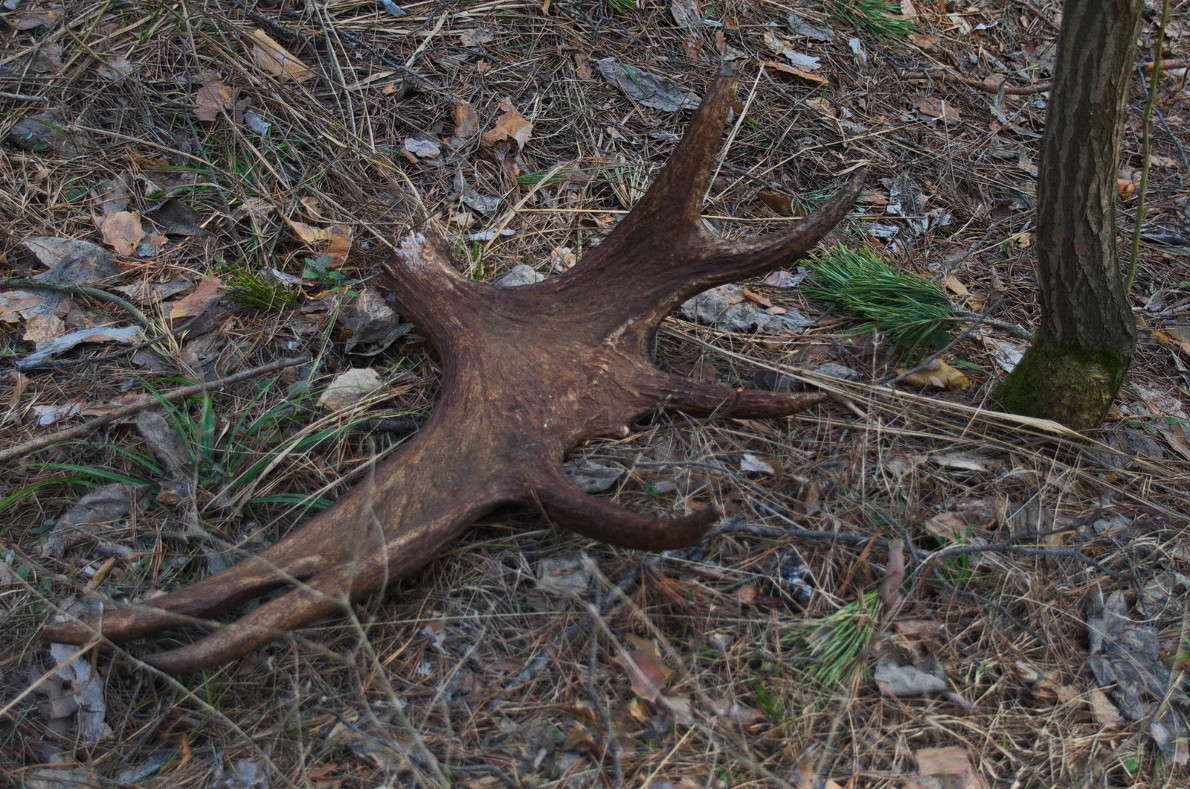 ... ����� ������� ������� �� PhotoGeek.ru #�������� ���