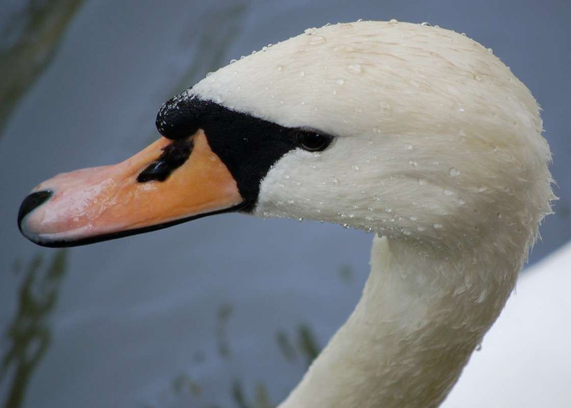 ... ����� ������� ������� �� PhotoGeek.ru #�������� ���