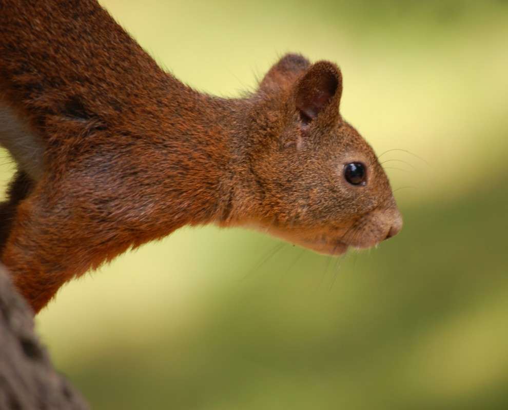 ... ����� ������� ������� �� PhotoGeek.ru #�������� ���