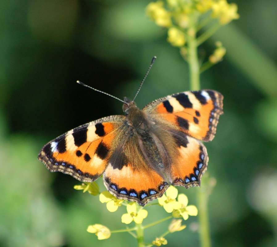 ... ����� ������� ������� �� PhotoGeek.ru #�����